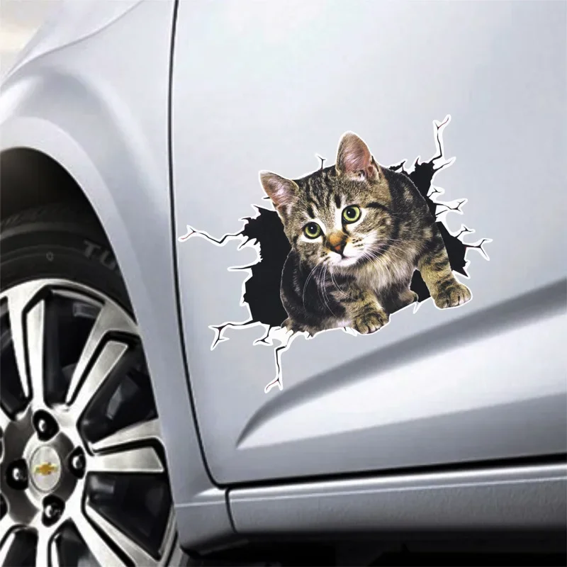3D Simulation of Cute Cats Pee - Car Accessories On Amazon review and price