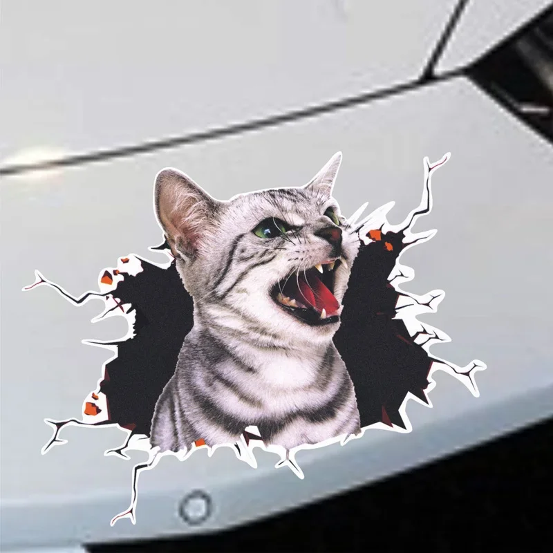 3D Simulation of Cute Cats Pee - Car Accessories On Amazon review and price