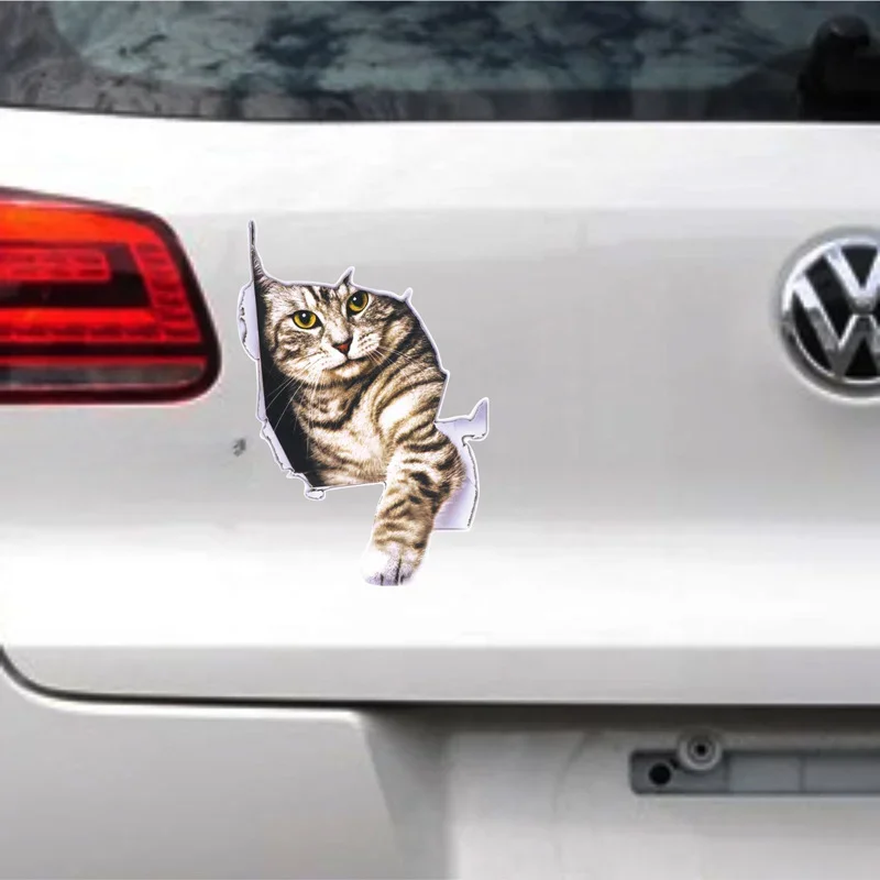 3D Simulation of Cute Cats Pee - Car Accessories On Amazon review and price